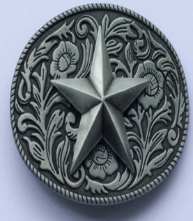 Belt Buckle Silver Star with Flowers in back round