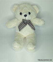 Plush White Teddy Bear
